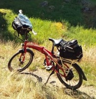 E-bike Leader Fox Tifton